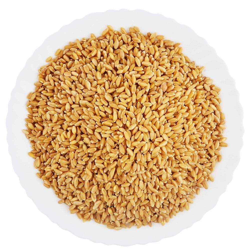 Wheat